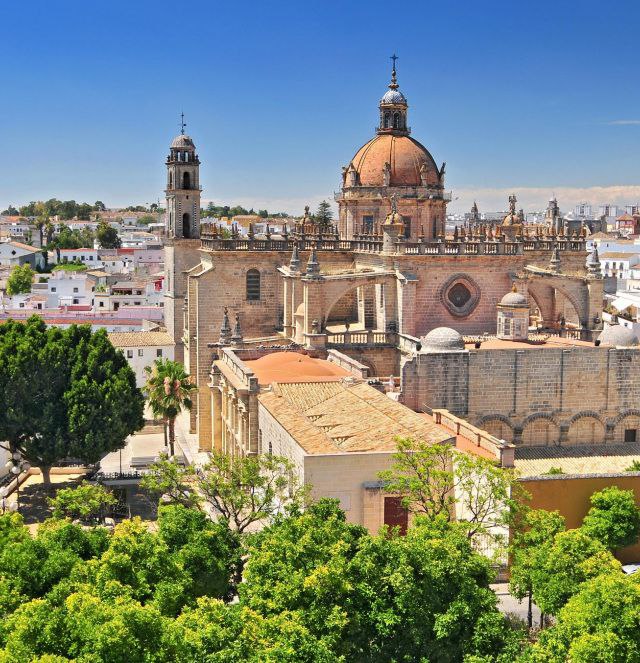 PRECIO TAXI BURGOS Jerez de la Frontera